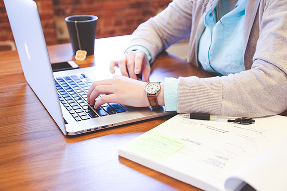 Professional Web Designer & Web Developer
